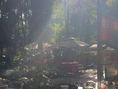 -二荆条·蜀鲜汇城市森林火锅