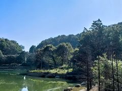 -广州市帽峰山景区