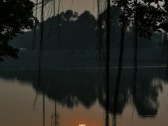-大湾区中央湿地公园