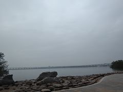 -宝安西湾红树林湿地公园