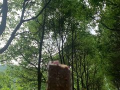 -巨石山景区