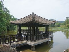 -老木棉·匠园
