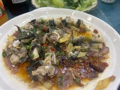 -古榕农庄·桑拿簸箕菜·招牌泥焗鸡(清远长隆店)