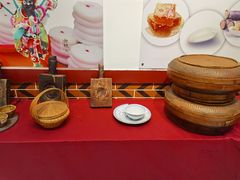 -海丝金凤(金鱼店)