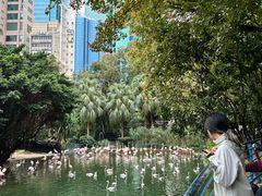 -九龙公园