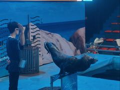 -洛阳龙门海洋馆