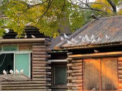 -飞马旅黎黄陂路文旅街区