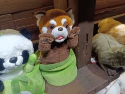 -Zoolung Zoolung动物主题公园(海信广场店)