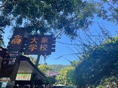 -野象谷景区