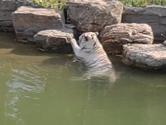 -太原动物园