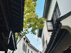 -巡塘古镇