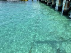 -三亚蜈支洲岛旅游区