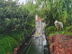 -中华恐龙园