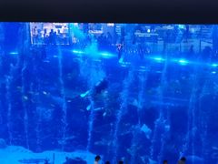 -成都浩海立方海洋公园