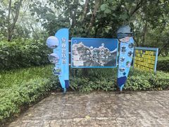 -广东惠东海龟国家级自然保护区