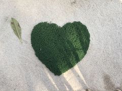 -南通洲际绿博园