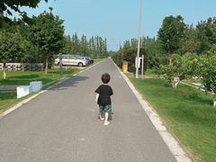 -前小桔亲子创意农场·草莓采摘·露营烧烤