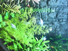 -尚足影院式足疗·住宿·美食(解放碑店)