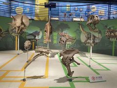 -国家自然博物馆