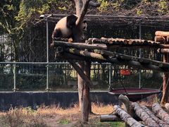 -宁波野生动物园