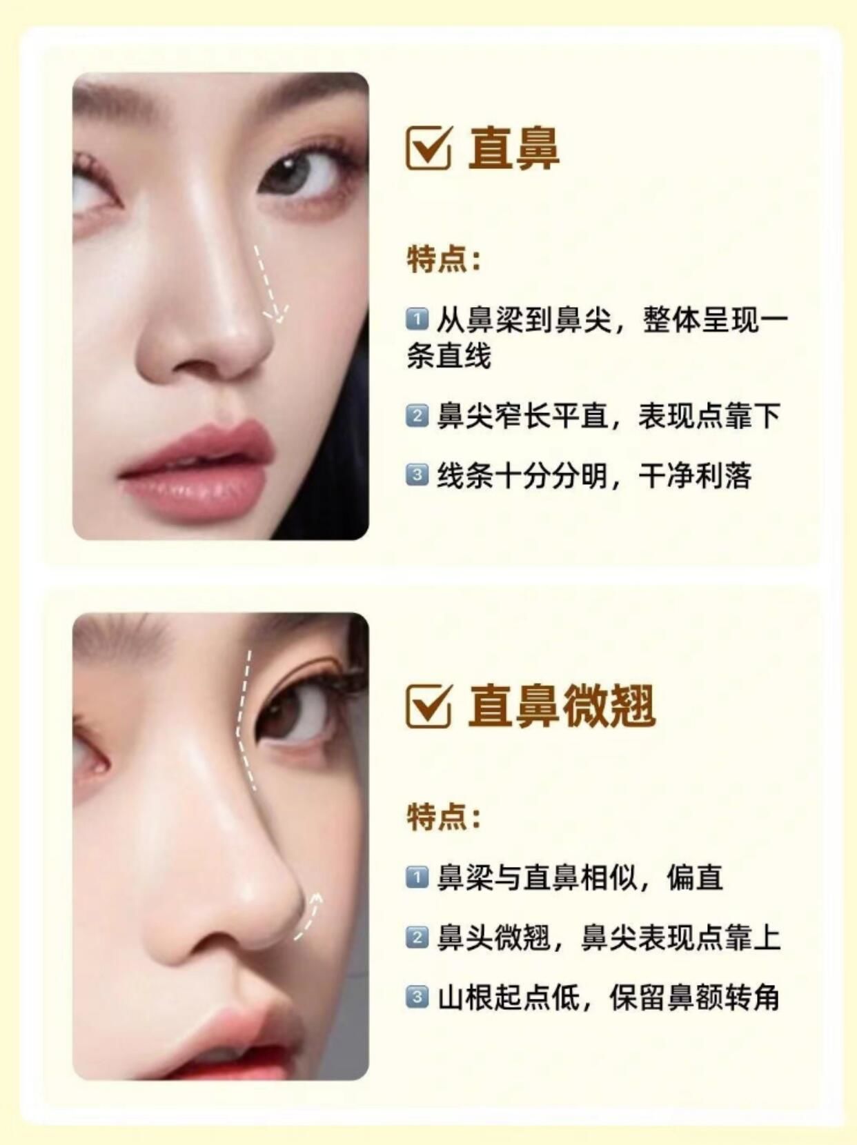 适合亚洲人审美的六款美鼻