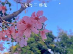 -福建鲤鱼洲酒店