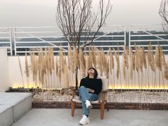-Blue Concept Cafe&Farm·關於藍