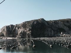 -兴旺渔家