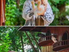 -三亚太阳湾柏悦酒店