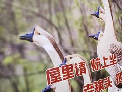 -锅老头海鲜铁锅炖