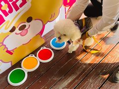 -上海神旺大酒店