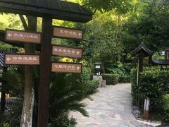 -明月山天沐温泉度假村