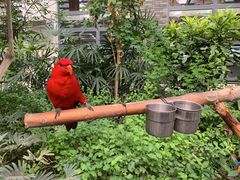 -南宫五洲植物乐园