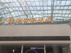 -保利国际影城(保利文化广场店)