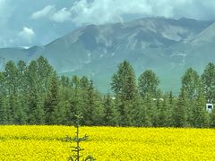 -扁都口生态休闲旅游区