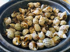 盐焗东风螺-霞海鸭仔饭店(海滨大道北店)