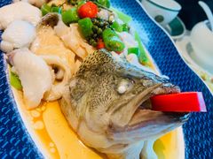 -德尚煌·顺德菜(誉山悠方天地店)