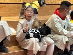 -和它·交个朋友·狗咖猫咖(爱琴海店)