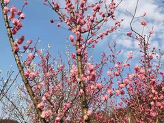 -贵阳市花溪国家城市湿地公园