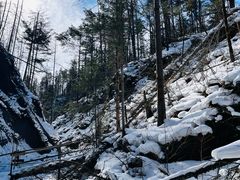 -峡谷浮石林景区