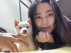 -逗柴咖啡屋·狗咖猫咖宠物桌游