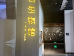 -广东省博物馆