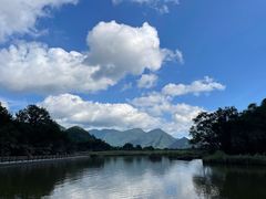 -大九湖