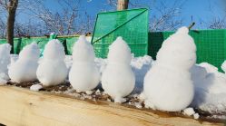 -优沃得自然教育农场·冰雪乐园·生日会·研学