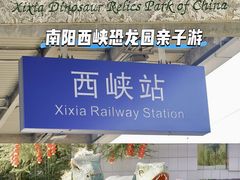 -中国西峡恐龙遗迹园