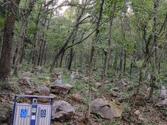 -南京金牛湖风景区