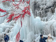 -云台山风景名胜区