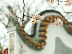 -岳麓书院
