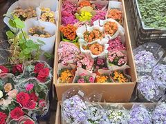 -宝鸡东道花鸟鱼虫市场(吉利花园商场店)
