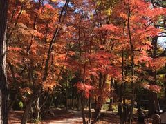 -轻井泽高原教堂